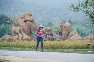 BIB: 
                            <button type="button" onclick="openModal(22304464)" class="btn btn-primary btn-sm float-right btn-popup" data-toggle="modal" data-target=".modal-high-quality">
                        <i class="fas fa-shopping-cart"></i> Add to Cart
                    </button>
                                            <button type="button" onclick="isThisMe(22304464, true)" class="btn btn-success btn-sm float-right btn-popup btn-isme hidden" data-toggle="tooltip" data-placement="bottom" title="นี่คือรูปของคุณใช่ไหม คลิกที่นี่เพื่อเอาเข้าอัลบั้ม">
                        <i class="fas fa-plus"></i> Add to album
                    </button>
                    <button type="button" onclick="isThisMe(22304464, false)" class="btn btn-warning btn-sm float-right btn-popup btn-isnotme hidden">
                        <i class="fas fa-ban"></i> Remove from album
                    </button>